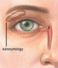 A könny a könnymirigyben termelődik és a szemrésbe kerülve részben elpárolog, részben a könnypontokon keresztül a könnycsatornába jut, amin keresztül az orrüregbe vezetődik. A panaszok nagyon összetettek lehetnek: diszkomfort érzés, homokszerű érzés a szemben, idegentest érzés a szemben, „fáradt szem” vagy akár könnyezés is. A szem száradásával kapcsolatos panaszok teljeskörű kivizsgálása megtörténhet a Kristályszem-ben. A kivizsgálás minden esetben látásvizsgálattal kezdődik, majd szemfelszín, a szemhéjak és a könny vizsgálata következik. Teszteljük a könny termelését és elvezetését is. A rendellenesség vagy probléma feltárását követően hatékony gyógymódot kínálunk a száraz szem panaszokra.